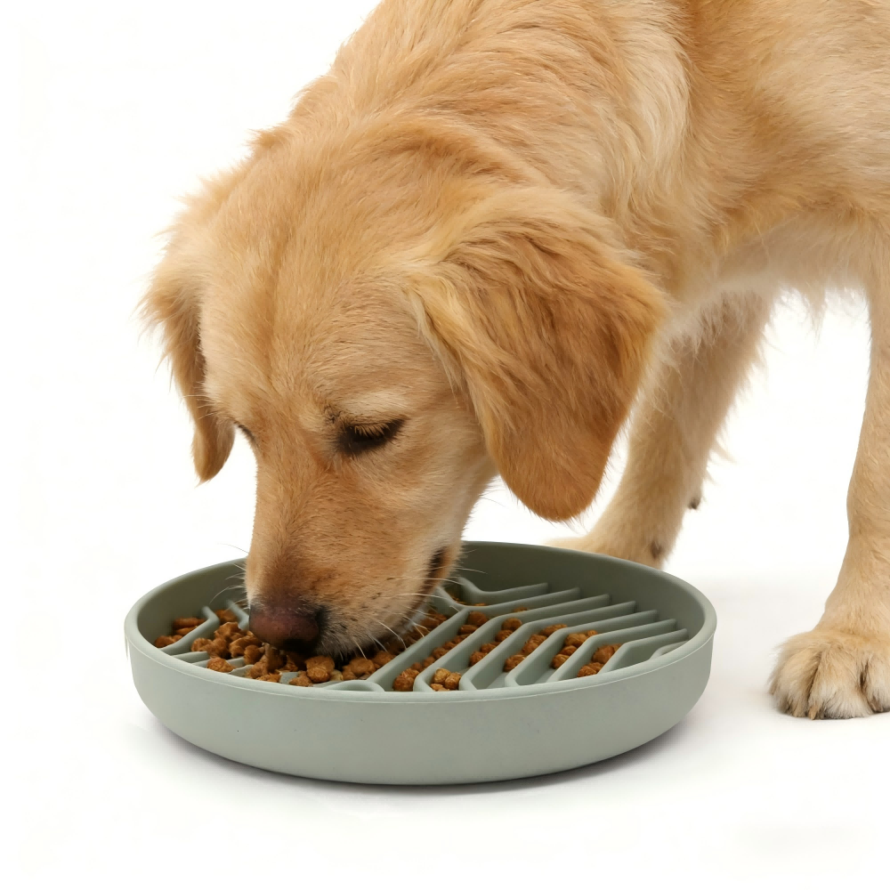 Slow Feeder Puzzle Bowl